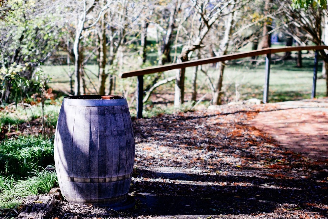 A barrel sitting in the middle of a park