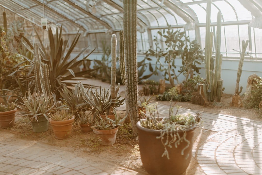 A greenhouse filled with lots of potted plants