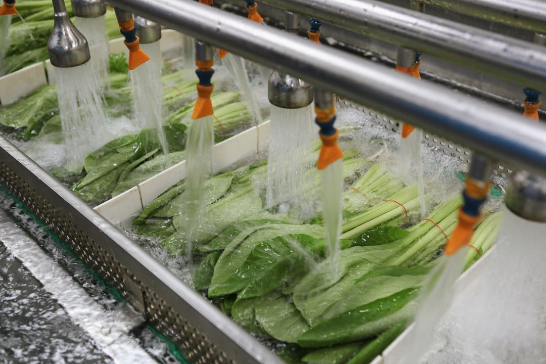 A bunch of vegetables being washed in a machine