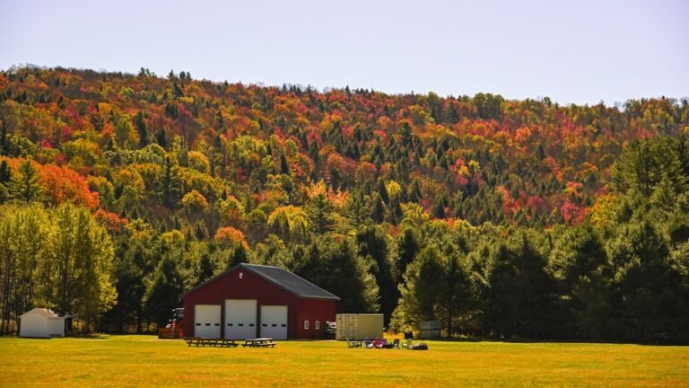 Red barn in a field with autumn foliage