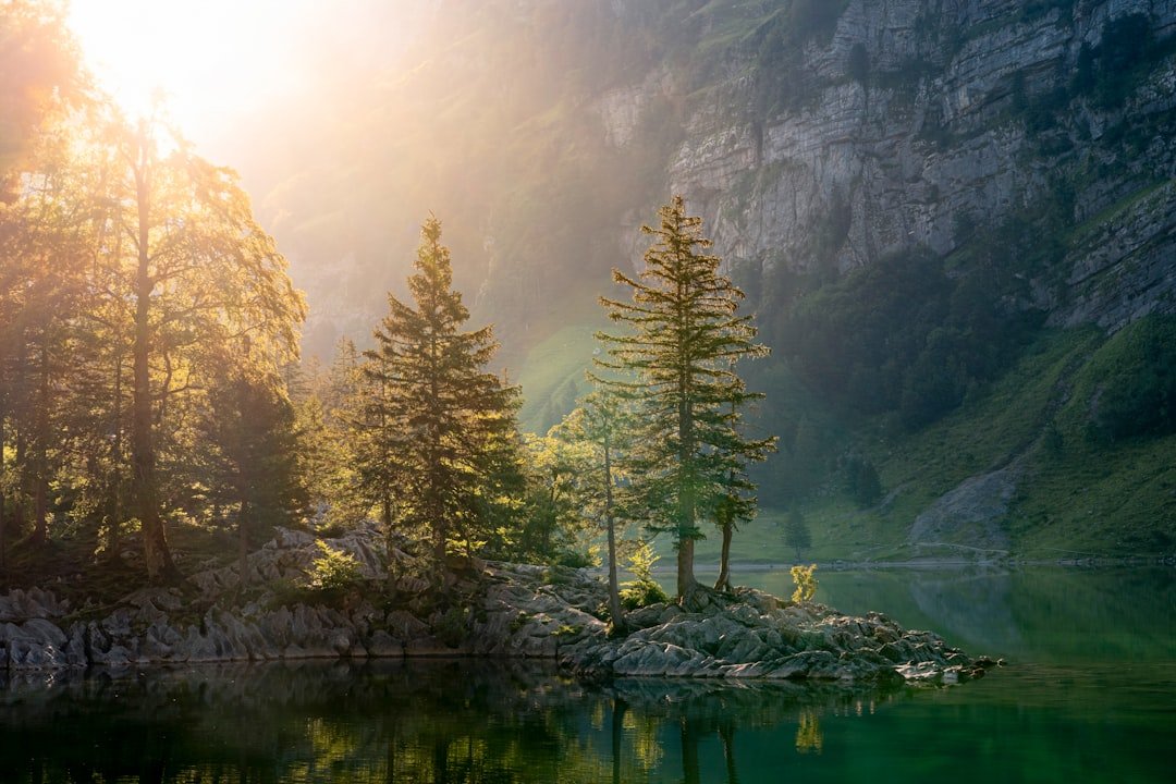 A lake surrounded by trees and a mountain