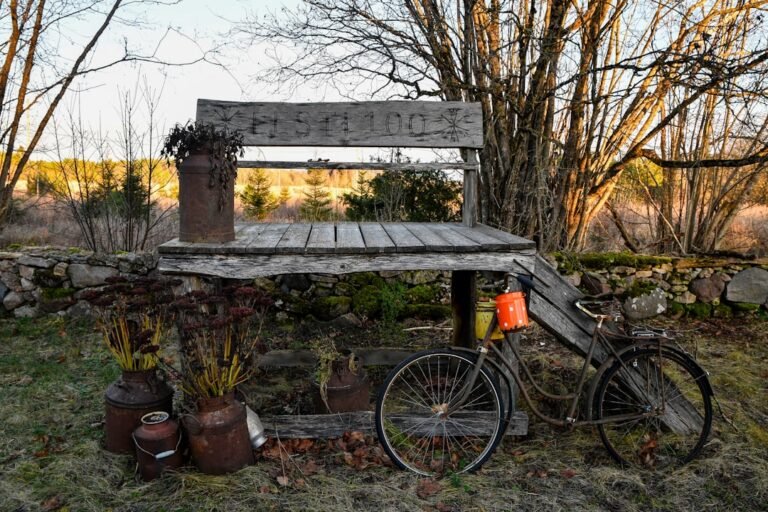 Rustic wooden display with vintage items and bicycle