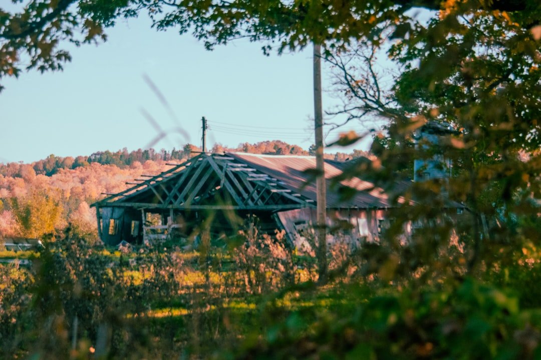 An old, abandoned house sits in nature.