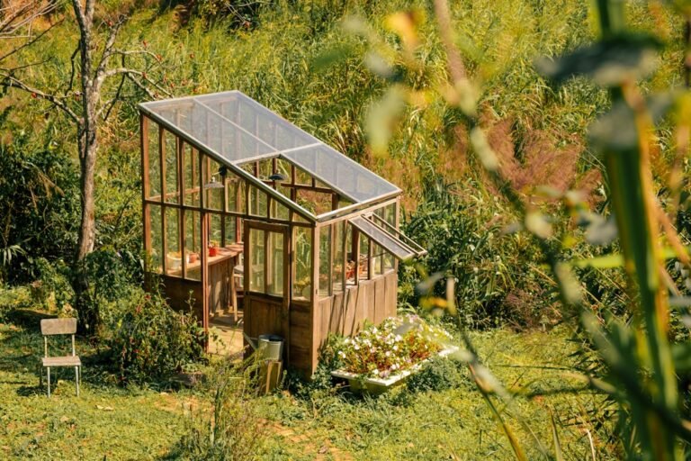 Wooden greenhouse surrounded by lush green foliage