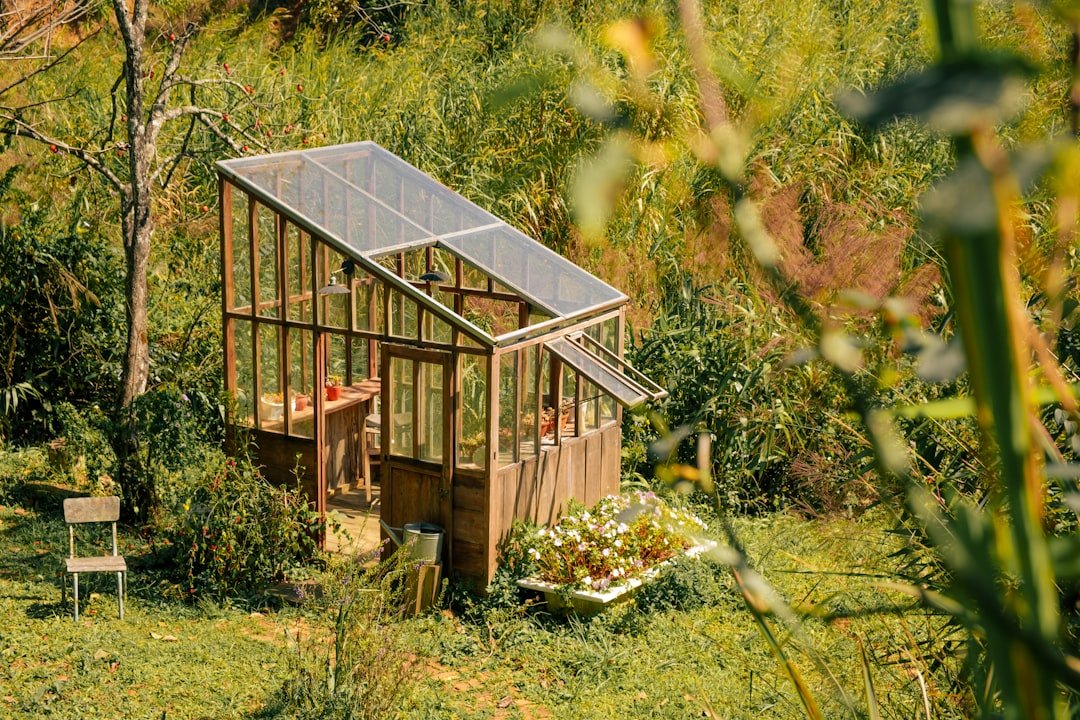Wooden greenhouse surrounded by lush green foliage