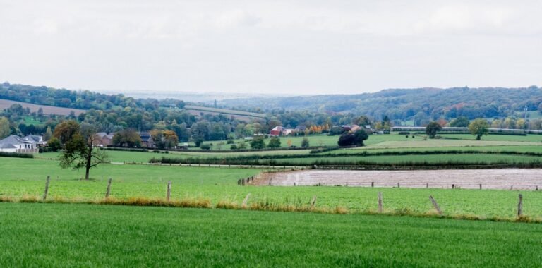 Green rolling hills with a small village in distance