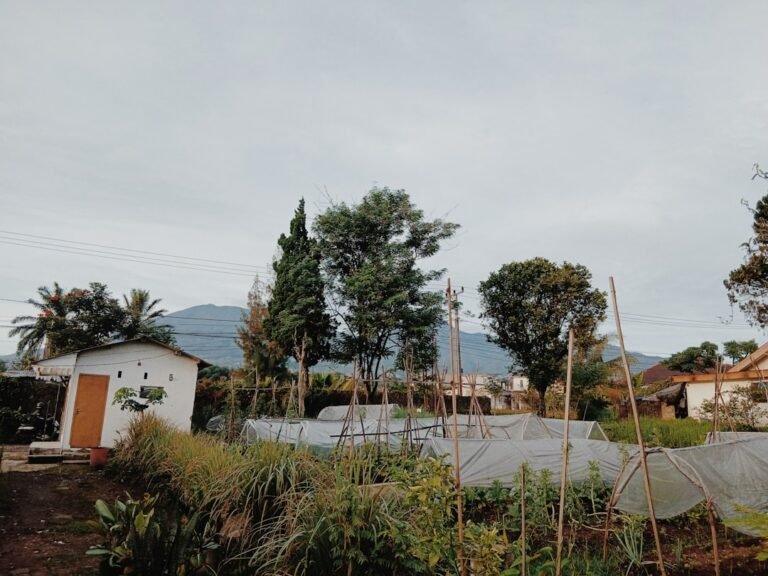 A rural landscape with greenhouses and trees.