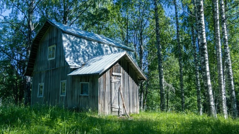 A wooden house in the woods