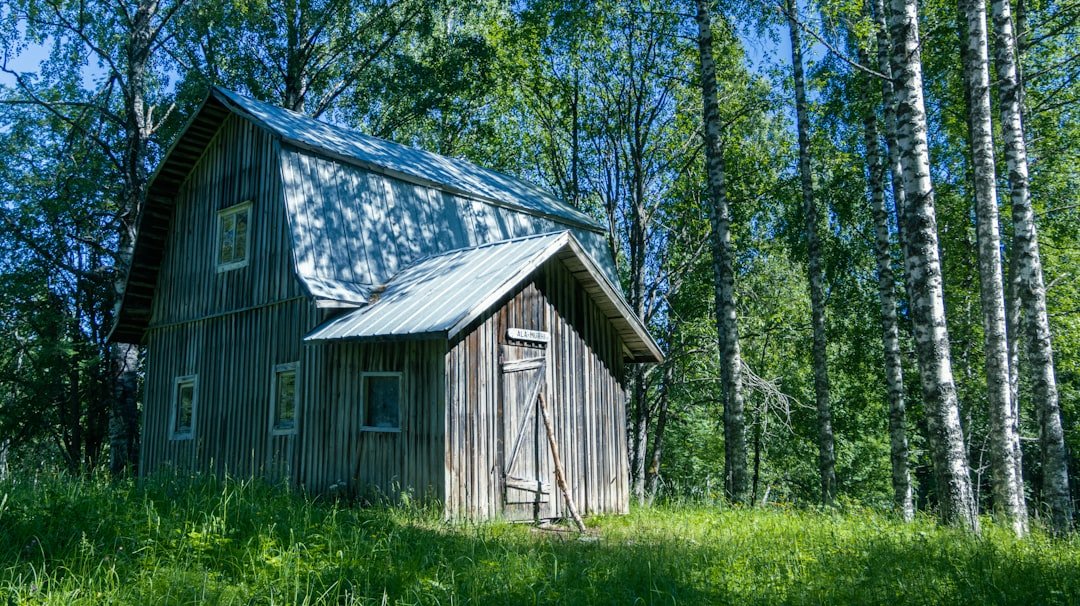 A wooden house in the woods