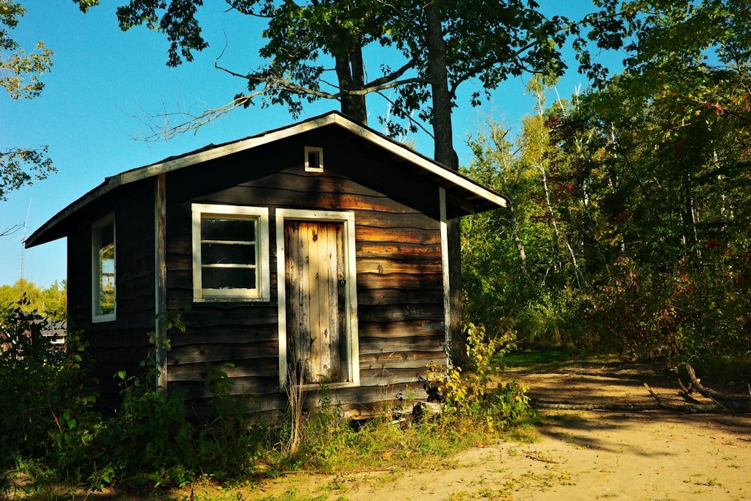Rustic wooden cabin nestled among trees