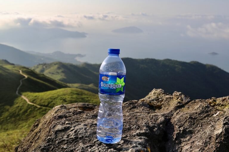Blue labeled bottled water on brown rock