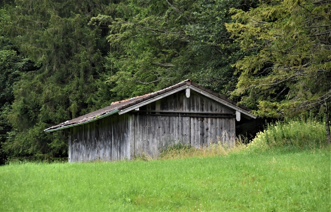 Brown wooden house on green grass field
