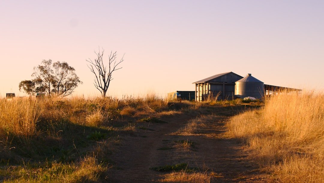 White and brown wooden house on brown grass field