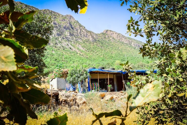 A house in the mountains