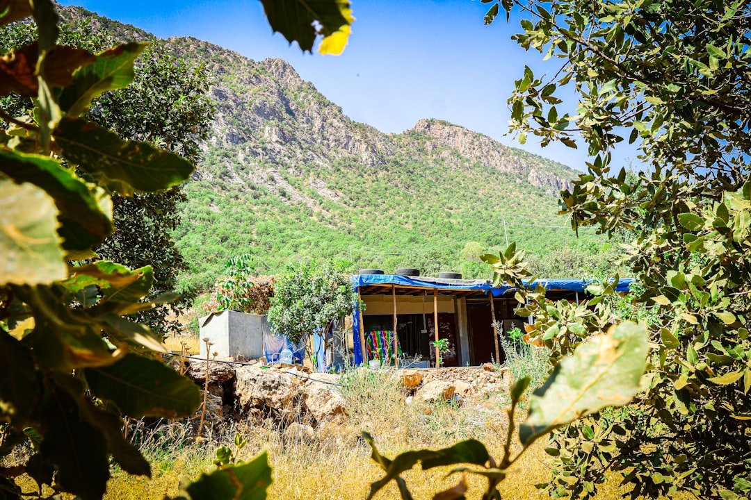 A house in the mountains