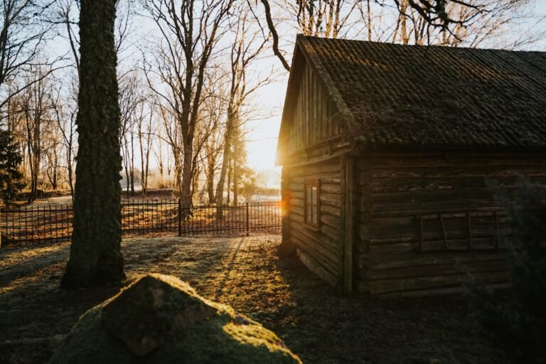 Brown wooden house near bare trees during daytime