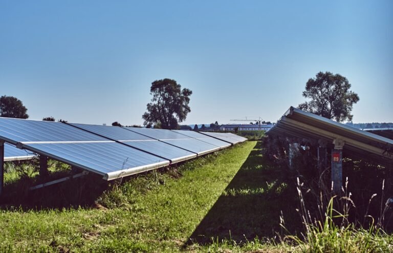 Black solar panels on green grass field under blue sky during daytime