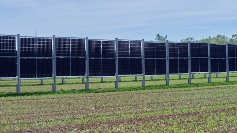 A row of solar panels in a field