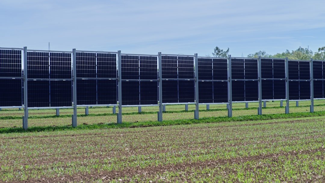 A row of solar panels in a field