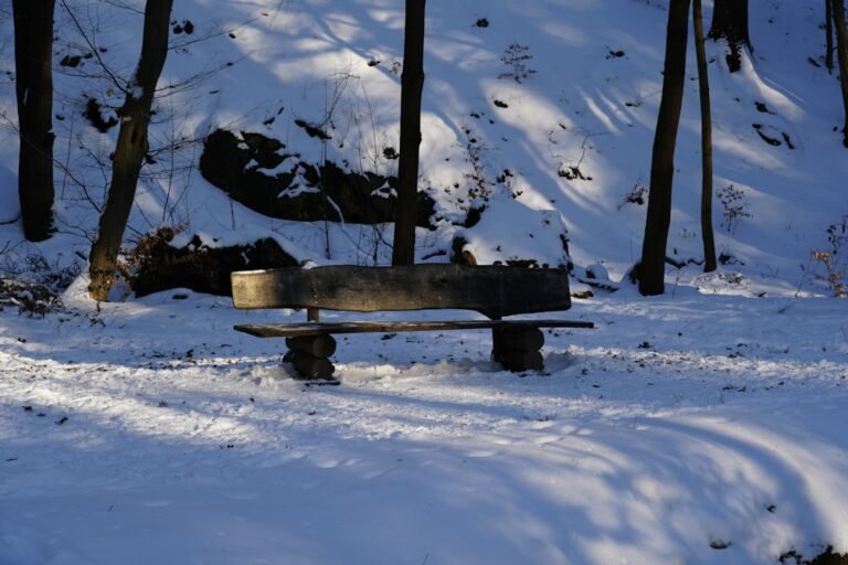 A wooden bench sits in a snowy forest clearing.