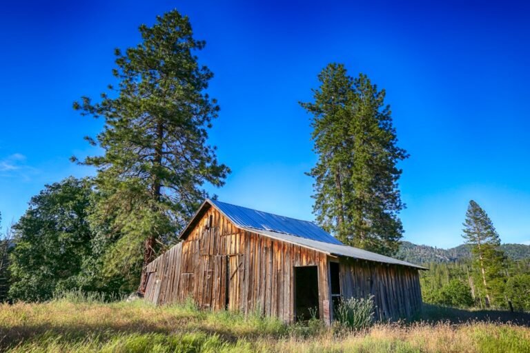 Photography of house beside green-leafed trees during daytime
