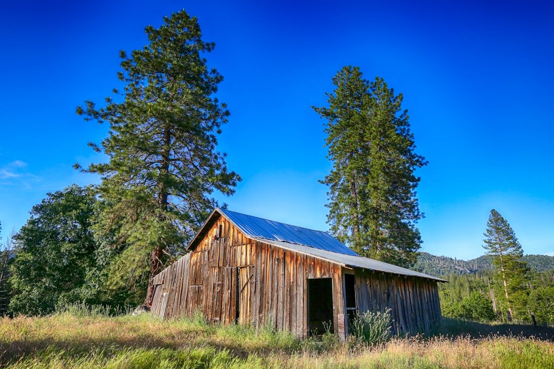 Photography of house beside green-leafed trees during daytime