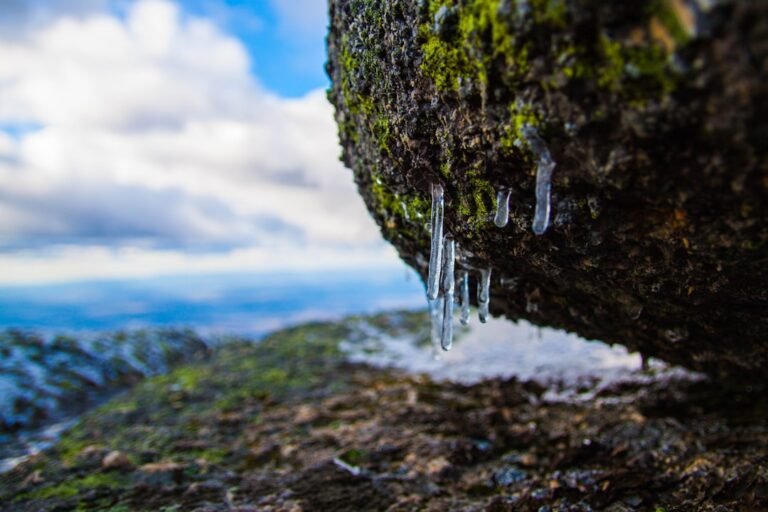 Selective focus photography of water drops on stone