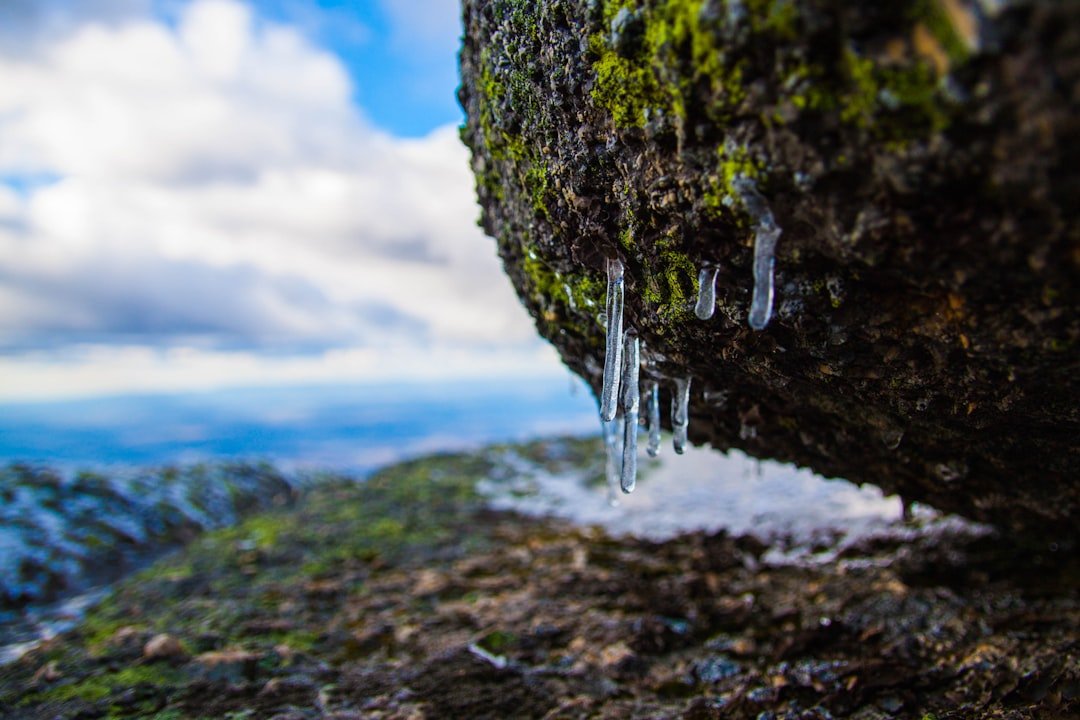 Selective focus photography of water drops on stone
