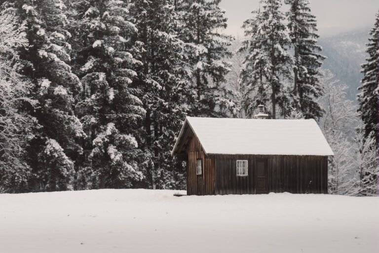 A small wooden cabin in a snowy forest.