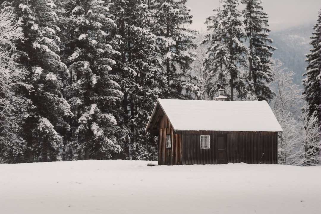 A small wooden cabin in a snowy forest.
