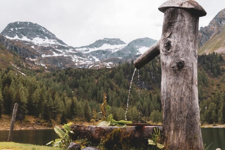 A tree stump with a water spout in the middle of it