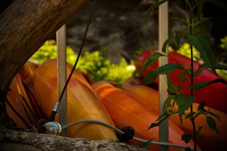 Colorful kayaks stacked near lush green foliage