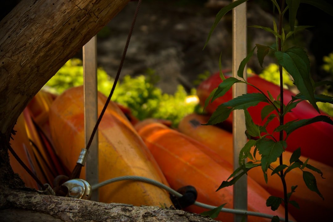 Colorful kayaks stacked near lush green foliage
