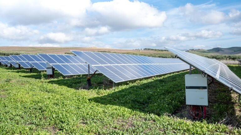 Blue solar panels on green grass field under white clouds and blue sky during daytime