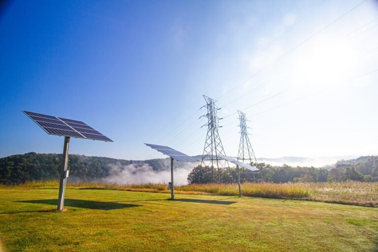 Solar panels and power lines in a grassy field.