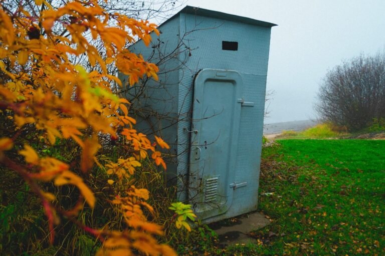 Small blue structure with autumn leaves and grass