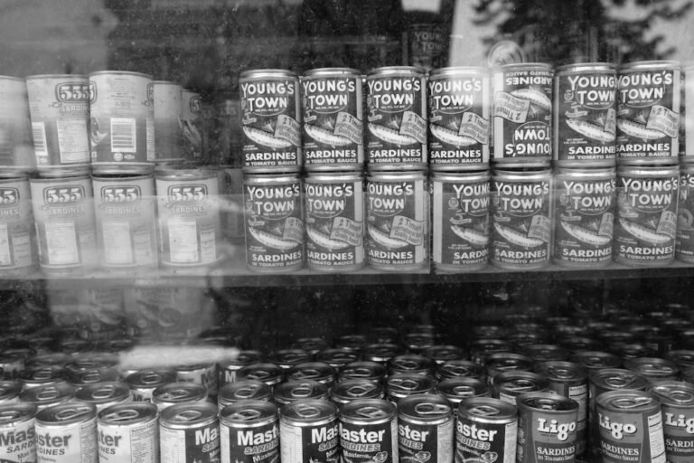 Cans of sardines and other food items stacked on shelves.