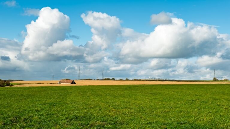 Green field with a small building under cloudy sky