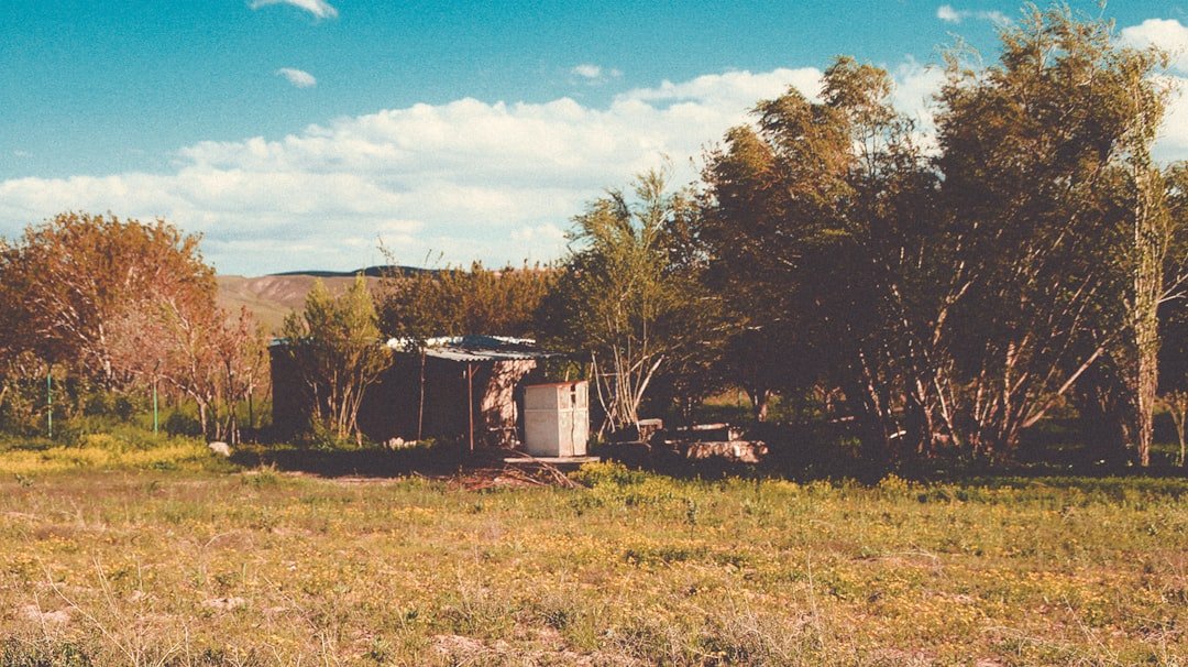 White and brown wooden house on green grass field under blue sky during daytime