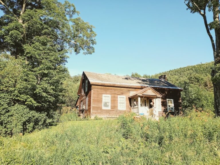 A small house sitting in the middle of a lush green field