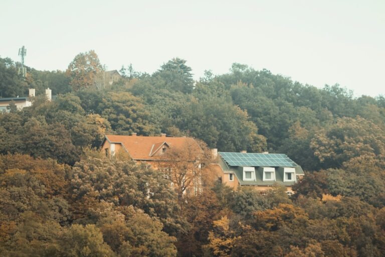 Two houses nestled among autumn trees on a hill.