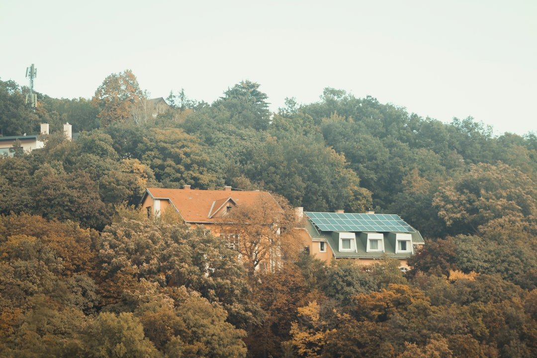 Two houses nestled among autumn trees on a hill.