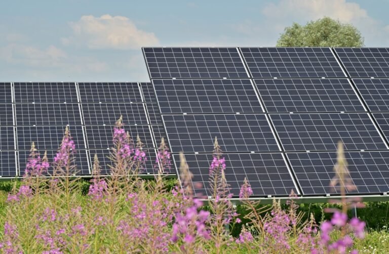 Black solar panels on purple flower field during daytime