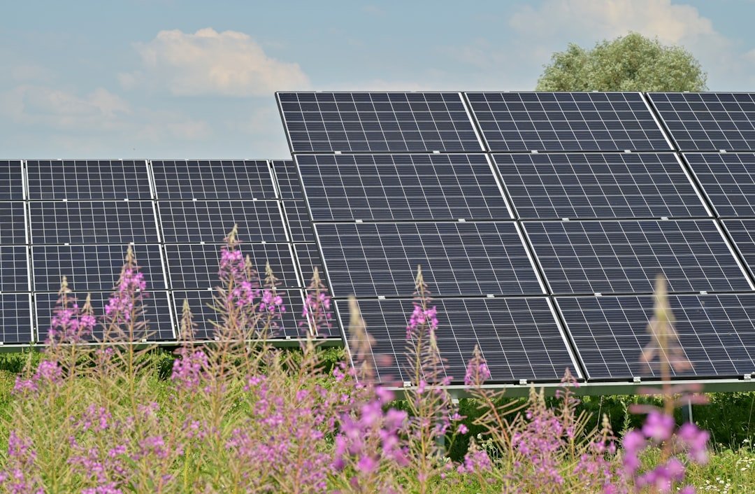 Black solar panels on purple flower field during daytime