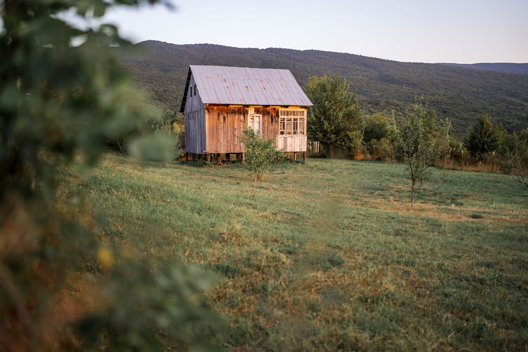 A house in a grassy field