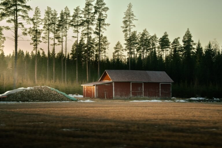 Red barn in a field with pine forest background