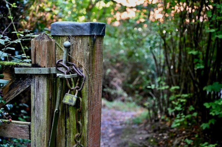 A wooden gate in the middle of a forest