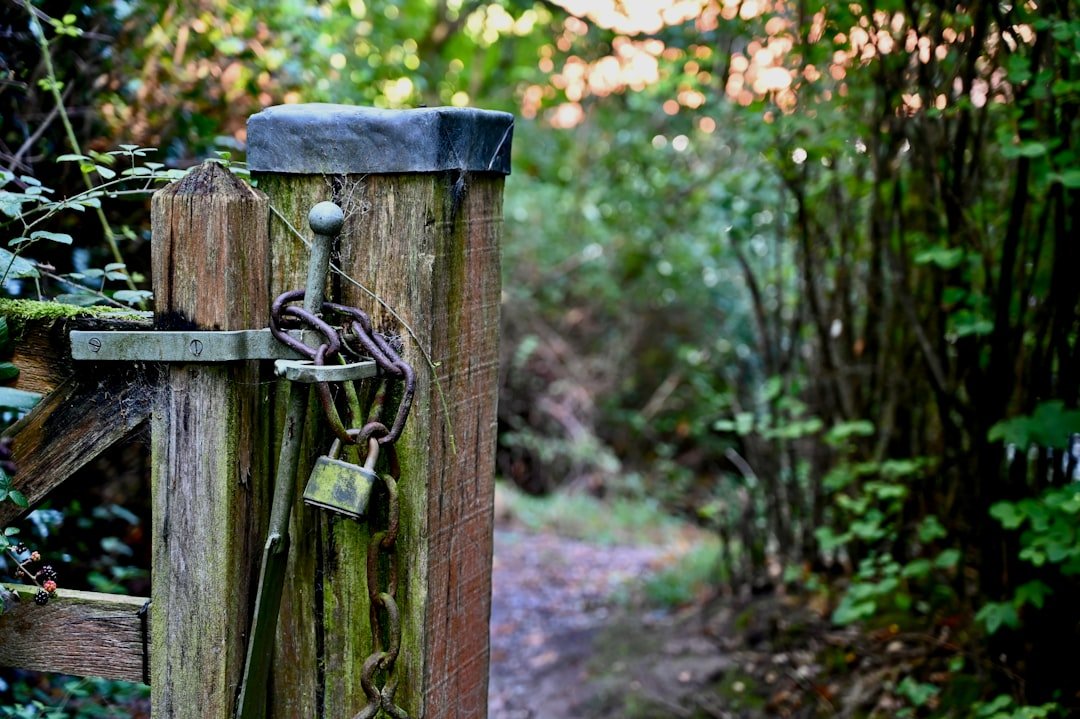 A wooden gate in the middle of a forest