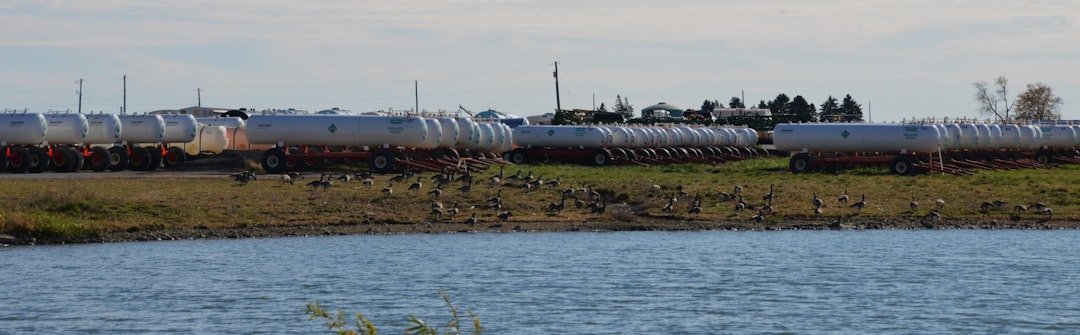 Row of covered train cars by a body of water
