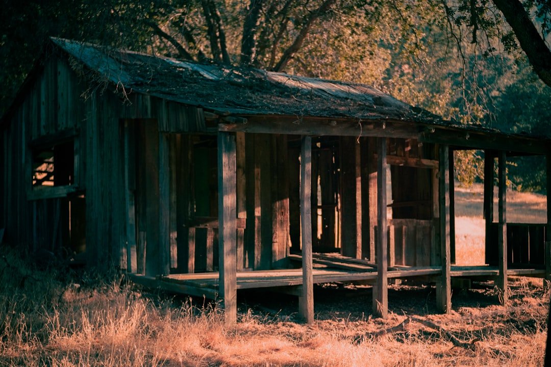 An old shack in the middle of a field
